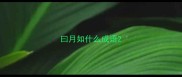 曰月如什么成语