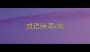 成语诗词x句