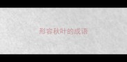 形容秋叶的成语