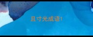 且寸光成语