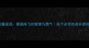 双翼成语展翅高飞的智慧与勇气孩子必学的成长密码