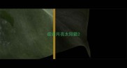 成语月亮太阳箭