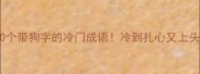 10个带狗字的冷门成语冷到扎心又上头