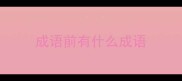 成语前有什么成语
