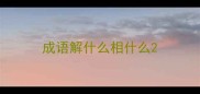 成语解什么相什么