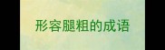 形容腿粗的成语