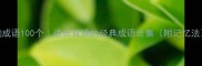 嶙峋成语100个适合背诵的经典成语合集附记忆法