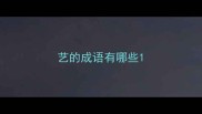 艺的成语有哪些