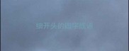 细开头的四字成语