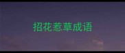 招花惹草成语