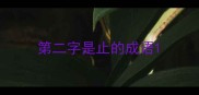 第二字是止的成语