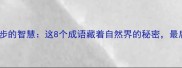 成语谜题雨中漫步的智慧这8个成语藏着自然界的秘密最后一个太绝了