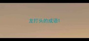 龙打头的成语