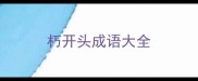 朽开头成语大全