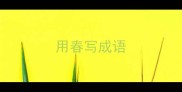 用春写成语