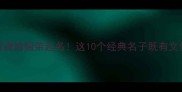 起名攻略用成语给姐弟起名这10个经典名子既有文化感又显贵气