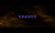 优秀成语作文