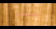 写字的四字成语