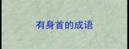 有身首的成语