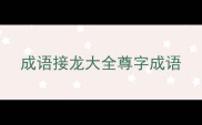 成语接龙大全尊字成语