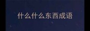 什么什么东西成语