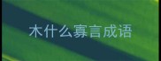 木什么寡言成语