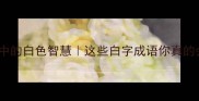 白字成语大人名中的白色智慧这些白字成语你真的会读吗收藏