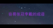 容易张冠李戴的成语