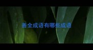 善全成语有哪些成语