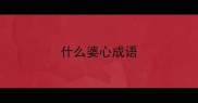 什么婆心成语