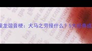 成语接龙谐音梗犬马之劳接什么5大经典成语全