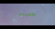 单什么成语