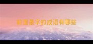 前面是字的成语有哪些