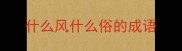 什么风什么俗的成语